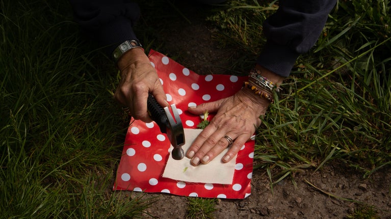 A person using a hammer to create a Hapa Zome print of wild plants onto fabric.